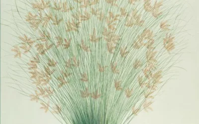 La imagen de la empresa en la propuesta de valor