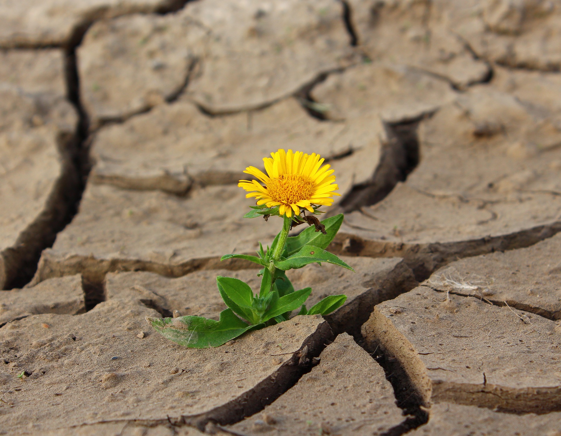 Resiliencia+, lo que necesitamos para 2022