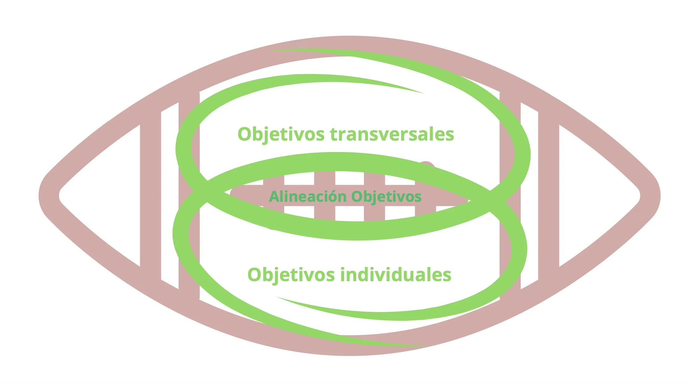 La alineación de los objetivos transversales e individuales.