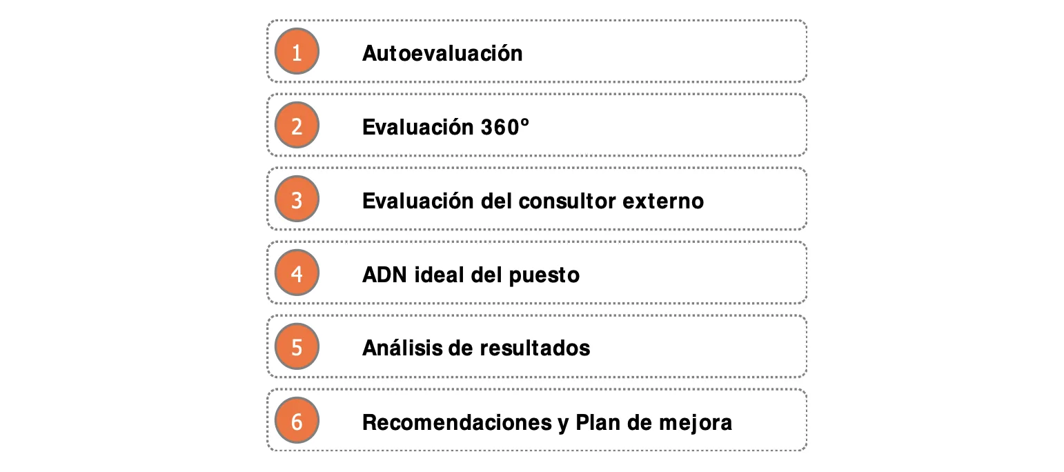 Metodologia ADN de Directivos