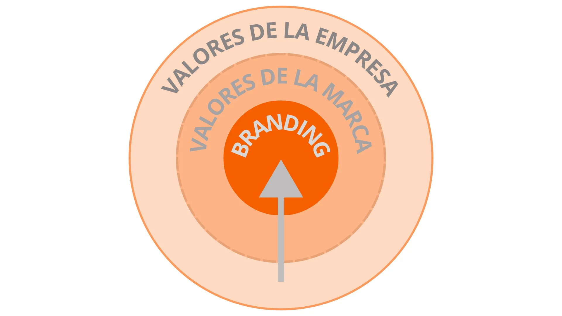 Círculo valores empresa vs valores de marca