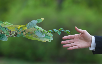 Estrategias para empresas con valores