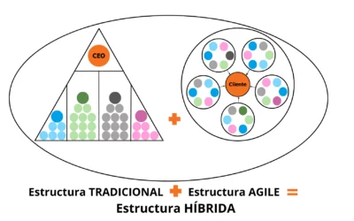 Las estructuras organizacionales híbridas pueden ser la solución