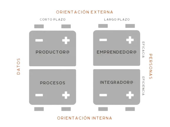 Mentoría para Directivos